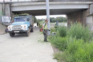 Куда утекла Ловать (ФОТО)