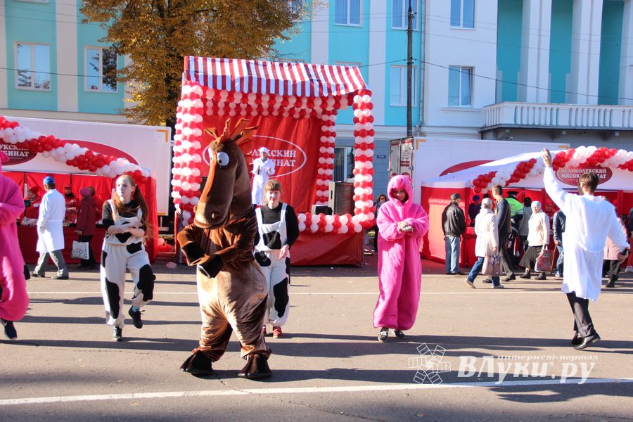 Торговая ярмарка «Осень-2016» прошла в Великих Луках (ФОТО)