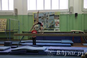 В Великих Луках прошло Первенство Области по спортивной гимнастики (фото)