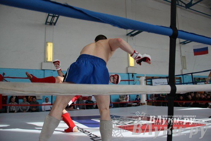 Чемпионат Псковской области по ММА