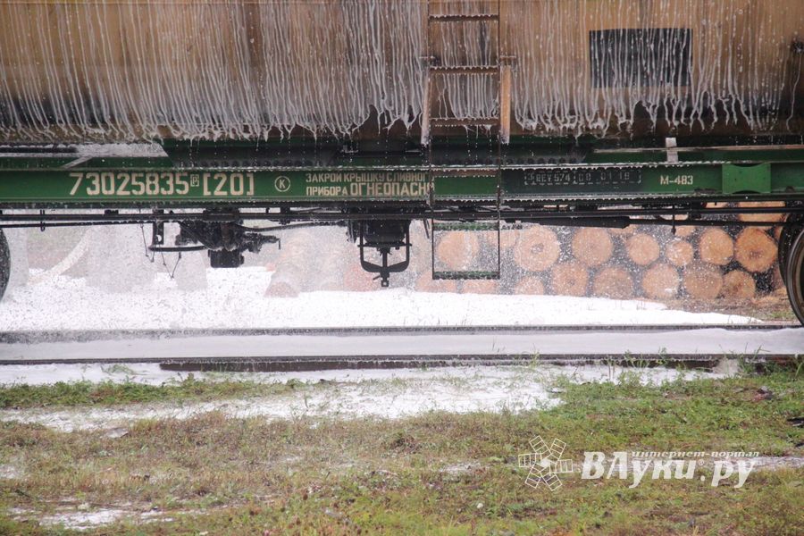 В Великих Луках тушили поезд (ФОТО)