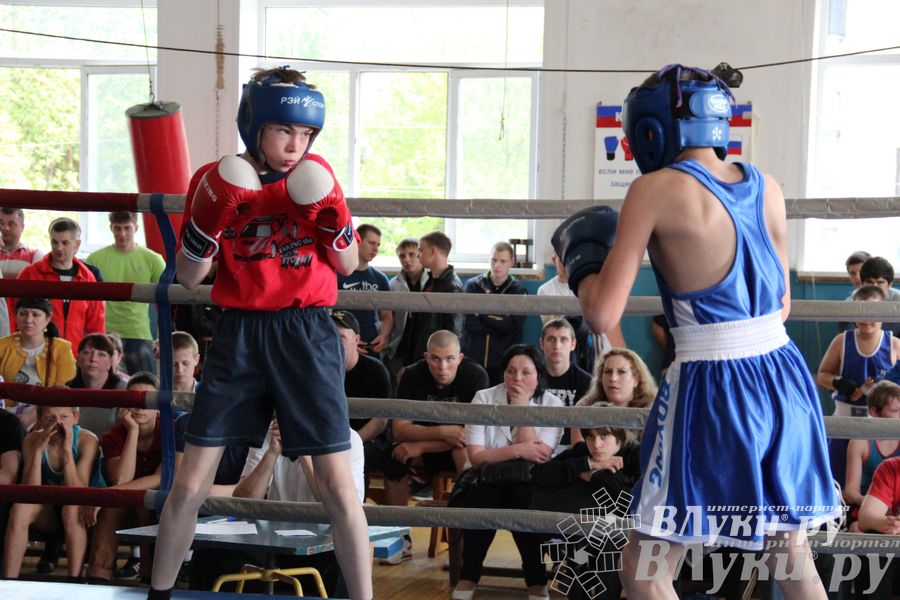 Первенство города по боксу