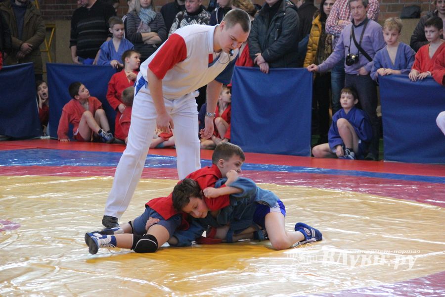 Великолучане завоевали награды турнира по самбо «Память» (ФОТО)