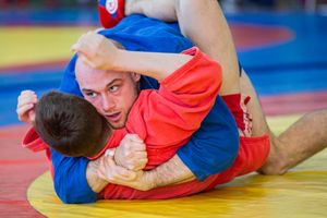 Фото: Александр Воробьев Великолучане завоевали награды Всероссийских соревнований по самбо