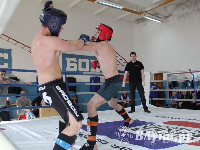 В Великих Луках прошел Чемпионат области по смешанному боевому единоборству (фото)