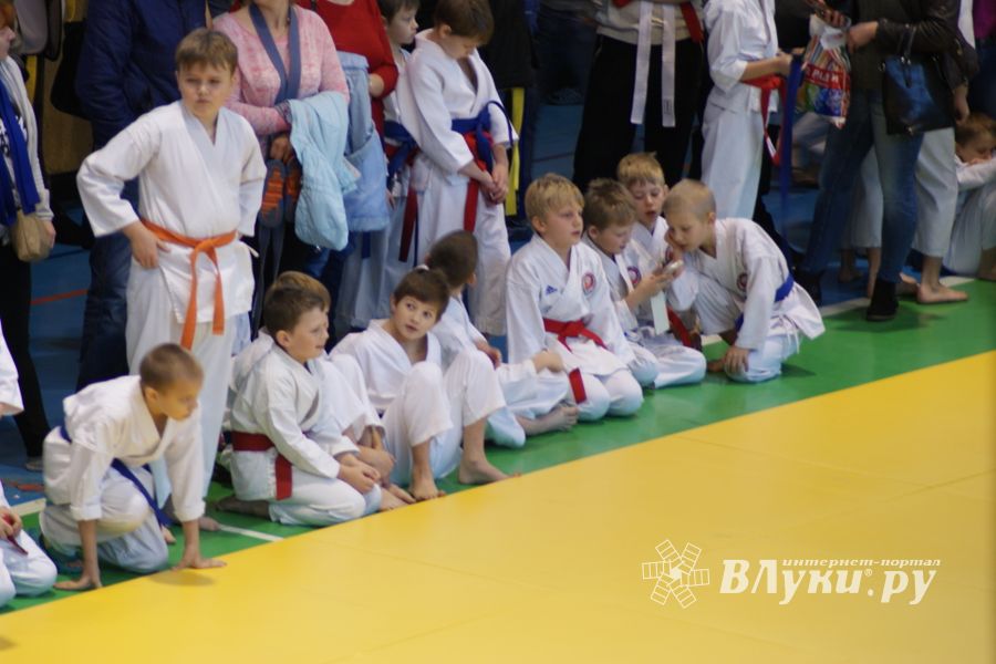 В Великих Луках прошли соревнования по каратэ (ФОТО)