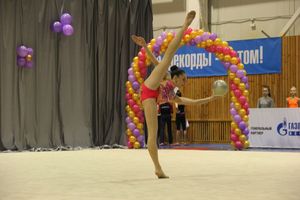 В Великих Луках завершился первый день соревнований Открытого Первенства города по художественной гимнастике (ФОТО) (0+))