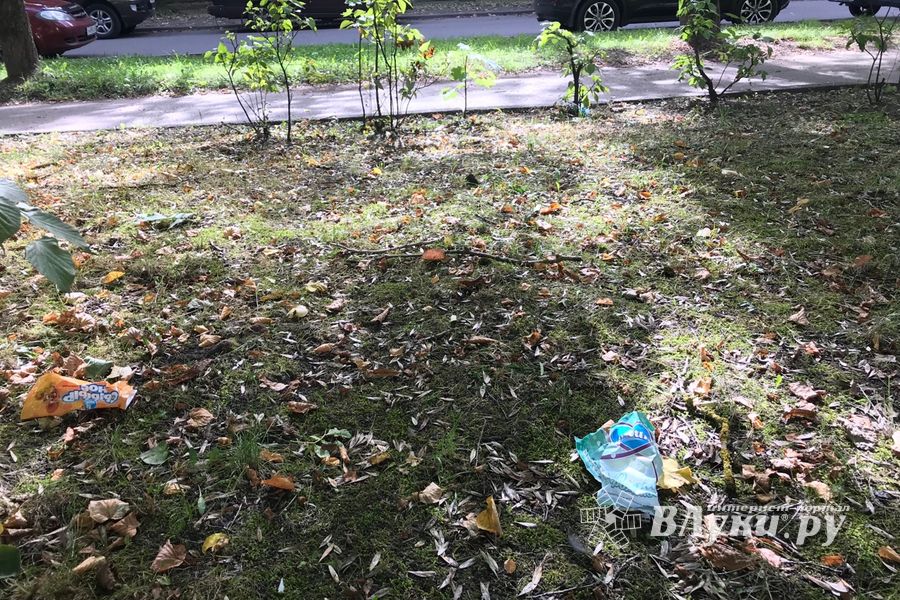 Парк Пушкина: «... А вкруг меня глухое запустенье...» (ФОТО)