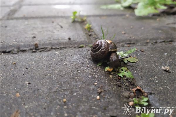 Прогноз погоды на 4 апреля в Великих Луках