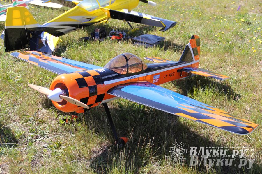 В Великих Луках прошел Фестиваль авиамодельного спорта (фото)