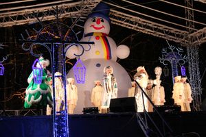 В Великих Луках петуха сменили на собак (ФОТО)