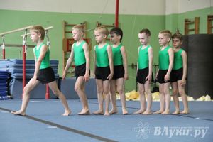 В Великих Луках состоялось Первенство по командной гимнастике (фото)