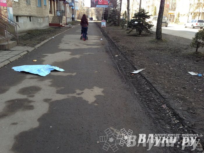 Весне дорогу!