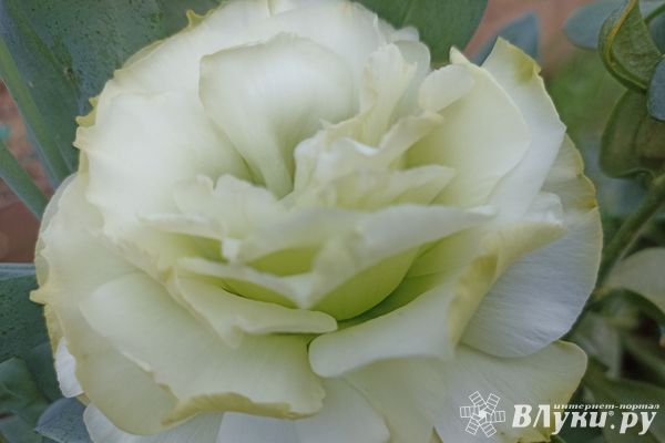 Сегодня ожидается переменная облачность