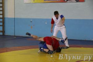 Всероссийский турнир по самбо