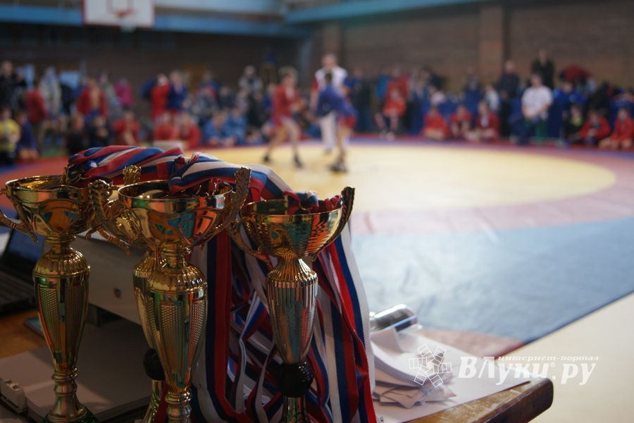 Великолучане завоевали призовые места на турнире по самбо «Память» (ФОТО)