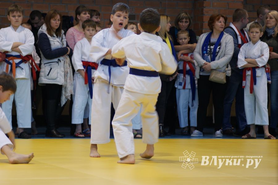 В Великих Луках прошли соревнования по каратэ (ФОТО)