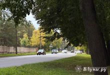 Прогноз погоды на 23 сентября в Великих Луках