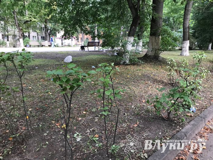 Парк Пушкина: «... А вкруг меня глухое запустенье...» (ФОТО)