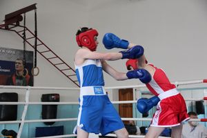 В Великих Луках завершился открытый турнир по боксу (ФОТО)