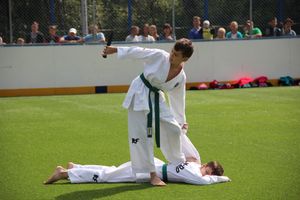 День спорта в День города: сила, мужество и грация (ФОТО)