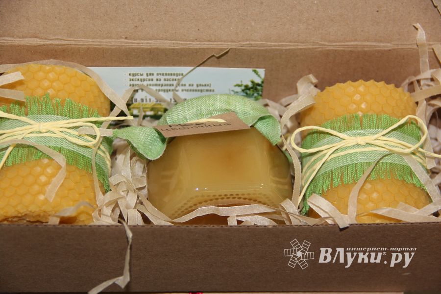 Где в Великих Луках попробовать живой шоколад на меду и вздремнуть на ульях?