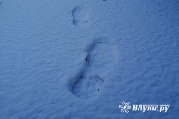 На Северо-Запад придёт потепление
