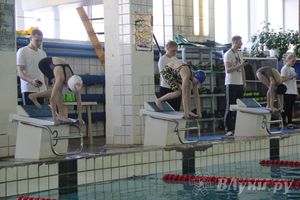 В Великих Луках прошли соревнования по плаванию «Весёлый дельфин» 