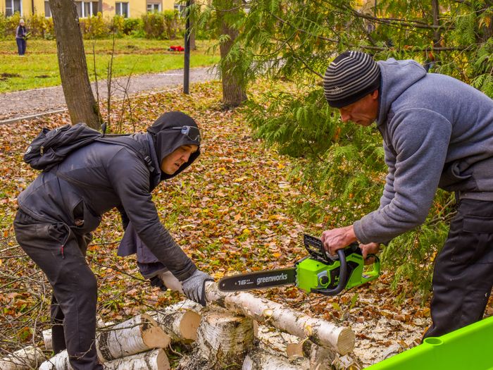 Фото: компания Greenworks