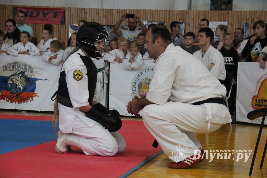 1-й Фестиваль боевых искусств состоялся в Великих Луках  (ФОТО)