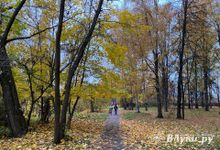 Прогноз погоды на 10 октября в Великих Луках