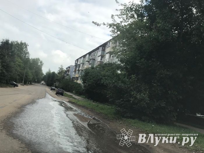 Предприятие в Великих Луках сливает на дорогу (ФОТО)