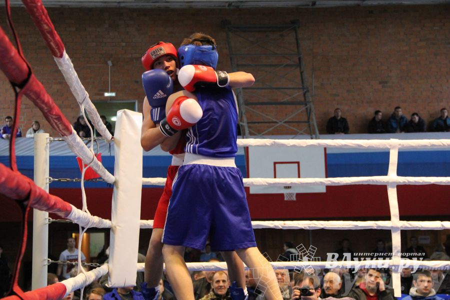 16-й Международный турнир по боксу (фото)