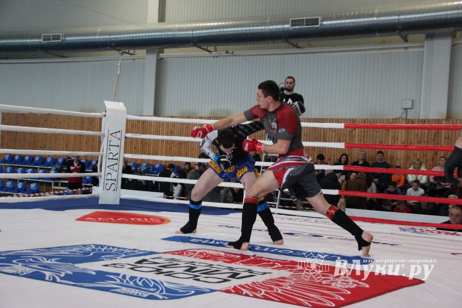Открытый кубок по смешанному боевому единоборству ММА прошел в Великих Луках (ФОТО)