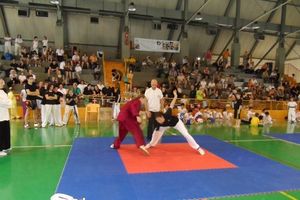 Фото: Псковская Лента Новостей