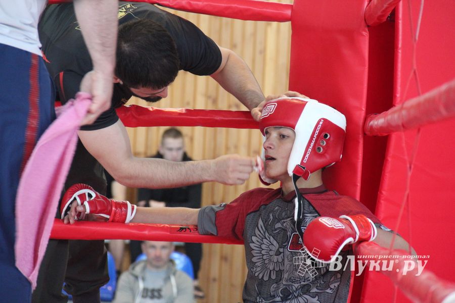 В Великих Луках завершилось Первенство России среди юношей по смешанному боевому единоборству ММА (ФОТО)