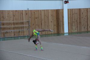 В Великих Луках прошло ​Открытое первенство города по художественной гимнастике (фото)