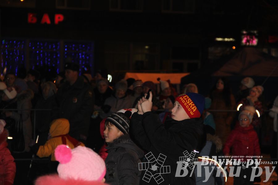 Праздник городской новогодней елки