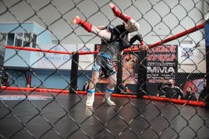 В Великих Луках прошел кубок по смешанному боевому единоборству (ФОТО)