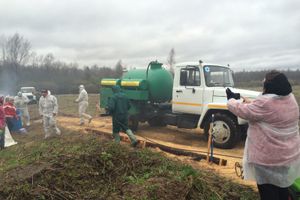 Ветеринарные службы Псковской и Ленинградской области провели совместные учения по ликвидации АЧС