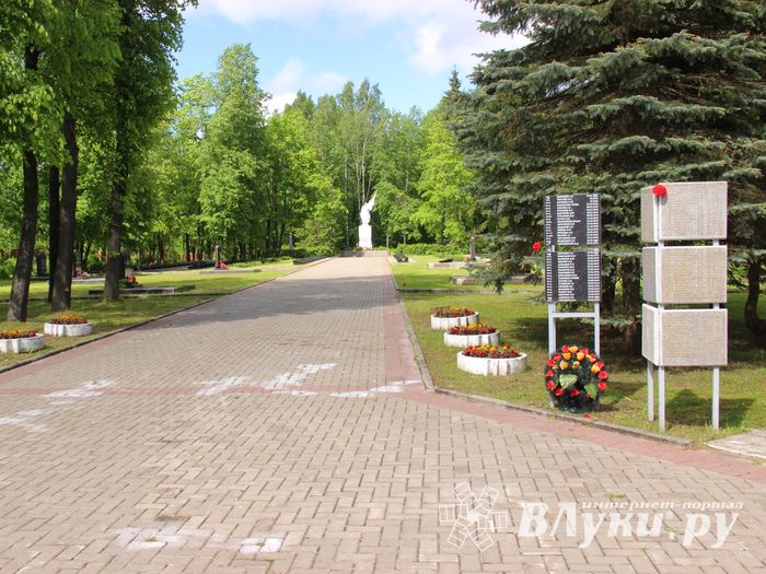 Полиция Великих Лук разыскивает малолетних вандалов