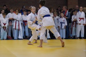 В Великих Луках прошли соревнования по каратэ (ФОТО)