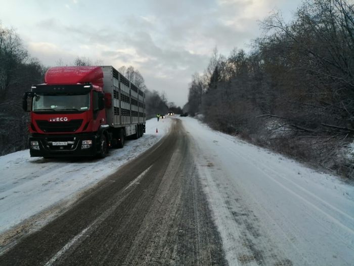 Смертельное ДТП в Великолукском районе (ФОТО)