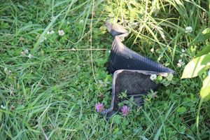 Массовое ДТП в Великих Луках (ФОТО)