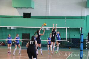 В Великих Луках прошли международные соревнования по волейболу (фото)