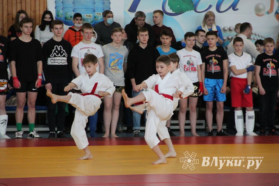 Фестиваль боевых искусств прошел в Великих Луках (ФОТО)