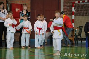 Великолучане стали победителями турнира по каратэ «Неприкосновенный запас, дети — Отчизны 2015» (фото)