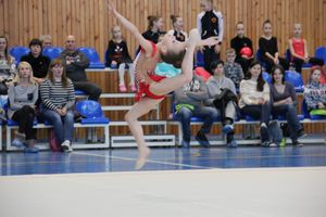 ​В Великих Луках прошли соревнования по художественной гимнастике (ФОТО)