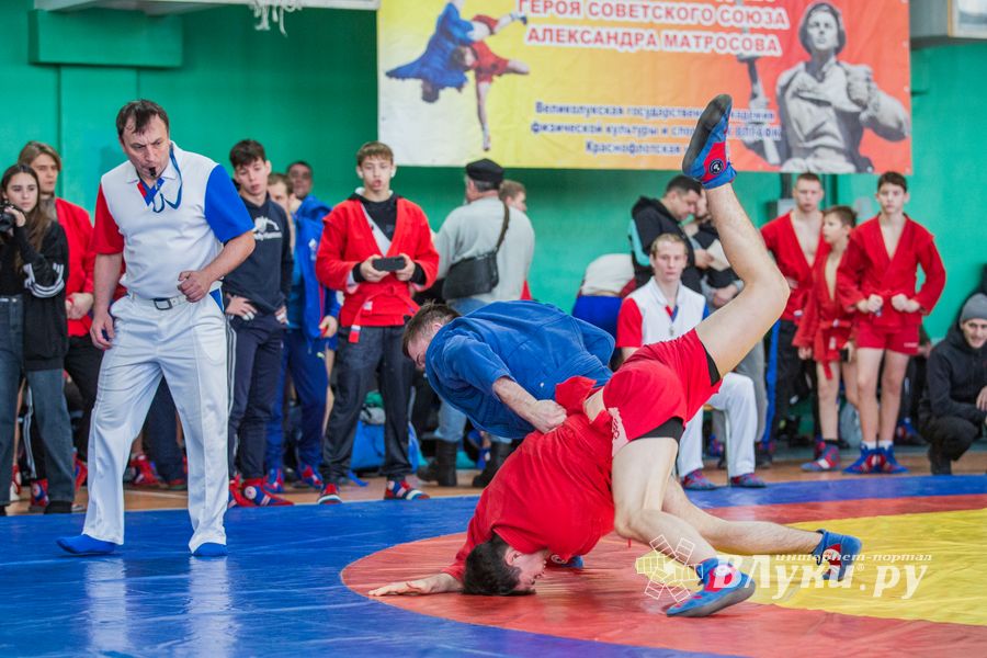 Фото: Александр Воробьев Великолучане завоевали награды Всероссийских соревнований по самбо