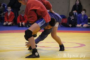 Великолучане стали первыми в общекомандном зачете турнира по самбо «Память»